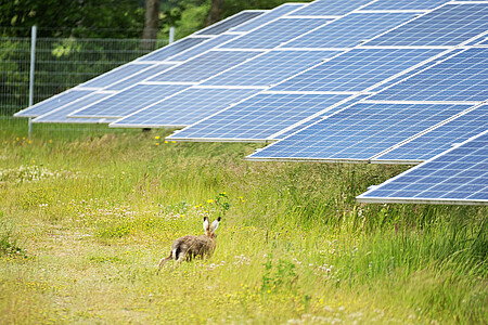 Solarpark Klein Rheide - © Wattmanufactur GmbH & Co. KG
