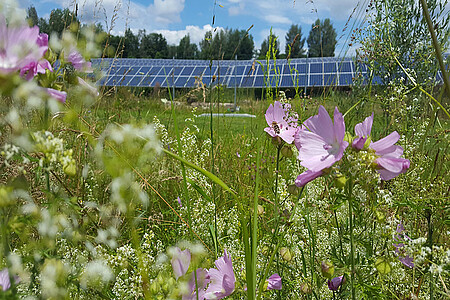 Solarpark Oberndorf - © Andreas Engl