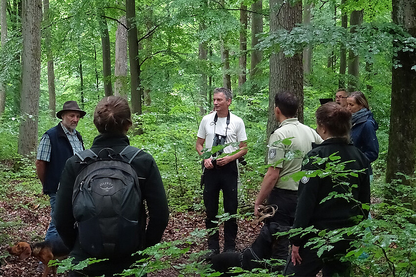 Menschen versammeln sich in einem Wald und diskutieren.