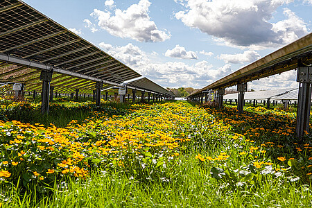 Solarpark Lottorf - © Wattmanufactur GmbH & Co. KG