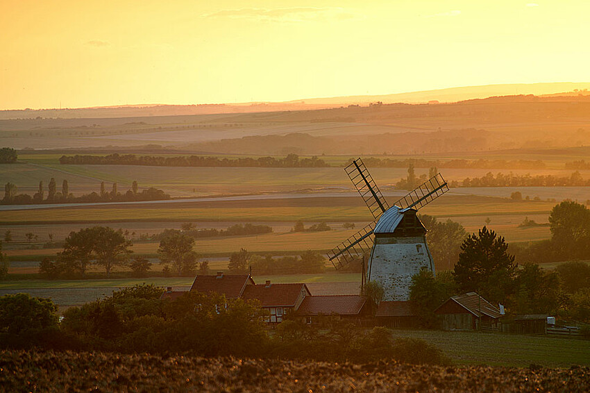 Das Bild zeigt eine Windmühle in der Hohen Schrecke bei Sonnenuntergang.