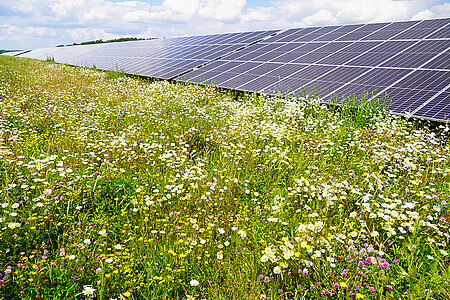 Solarpark Laubsdorf