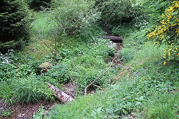 Bachlauf mit zwei quer liegenden Stammstücken im Abstand von etwa 15 Metern in Fließrichtung